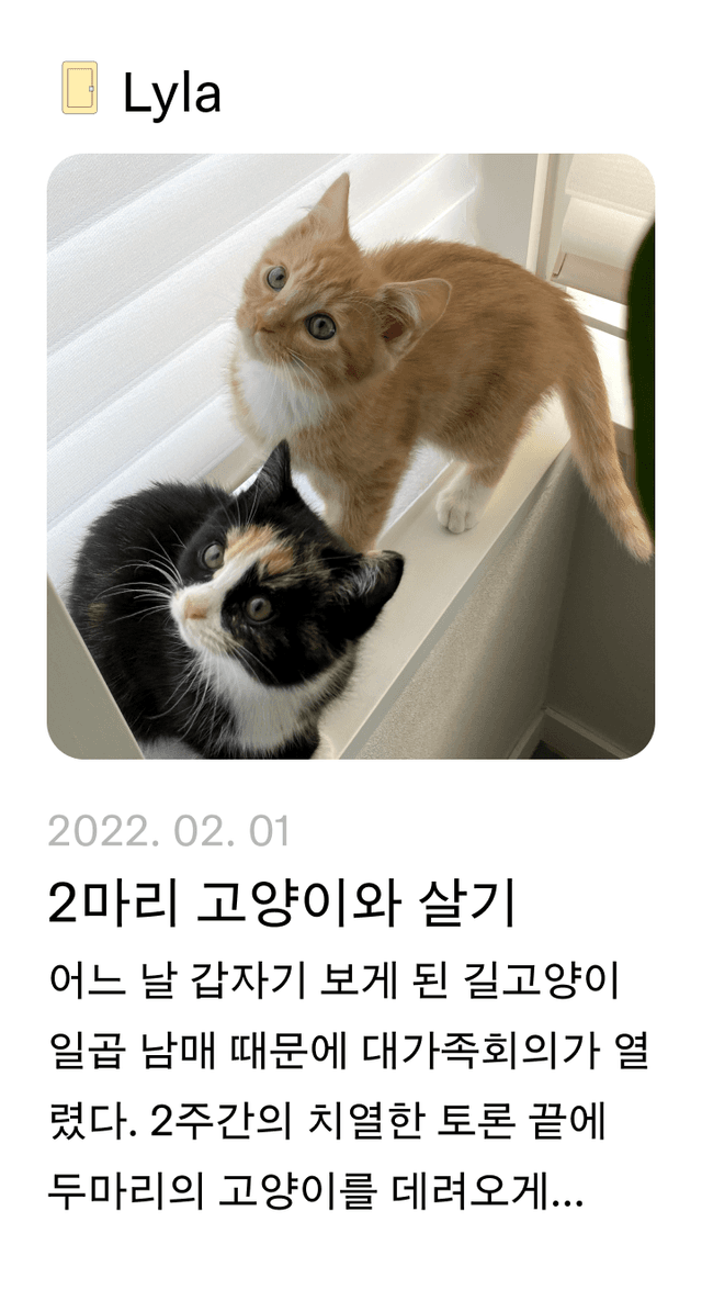 2마리 고양이와 살기